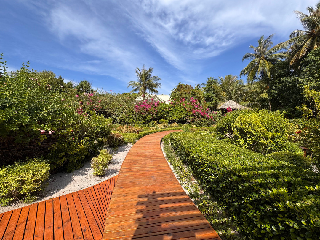 马尔代夫杜斯特塔尼主图