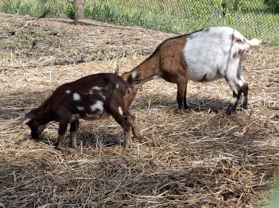 Reserva Natural do Cavalo do Sorraia-Alpiarca必去景点