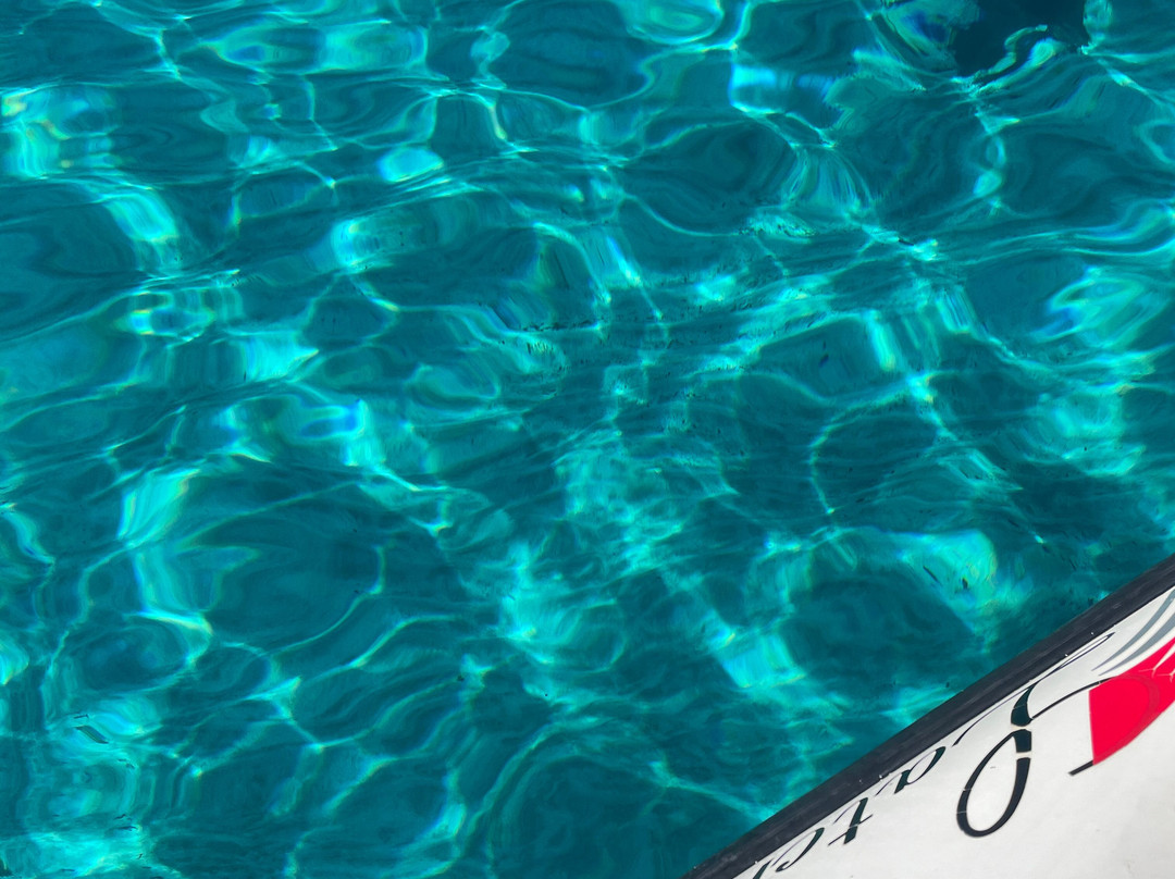 Latchi Pleasure Boats-Latchi必去景点