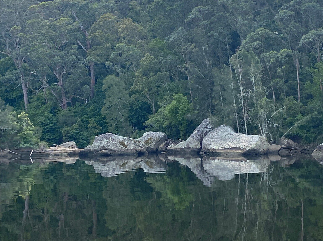 Shoalhaven River Cruise-瑙拉必去景点