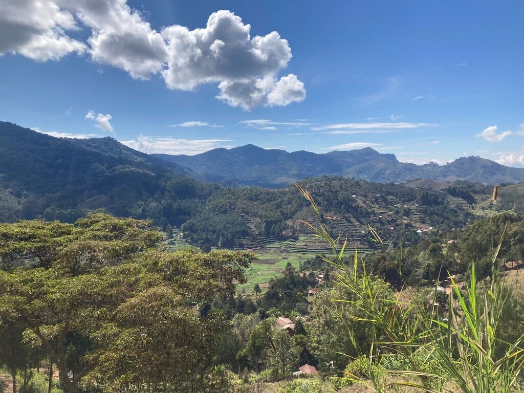 Bagamoyo Big 5 Safaris-巴加莫约必去景点