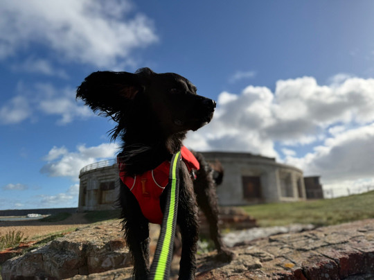 Hurst Castle-Milford on Sea必去景点