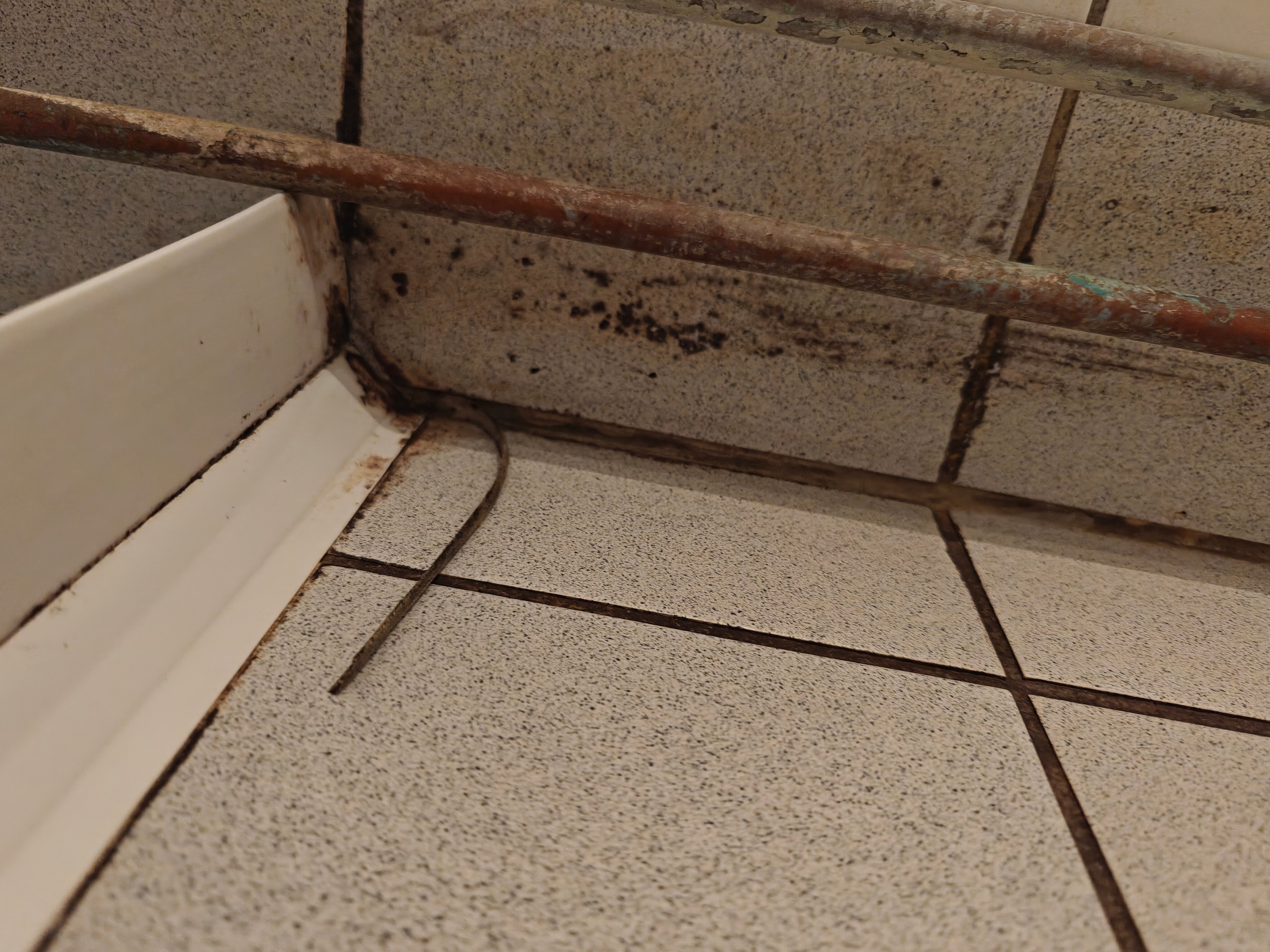 Hotel Du Nord-官方