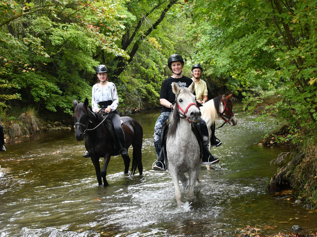 Pinar Horse Safari-马尔马里斯必去景点