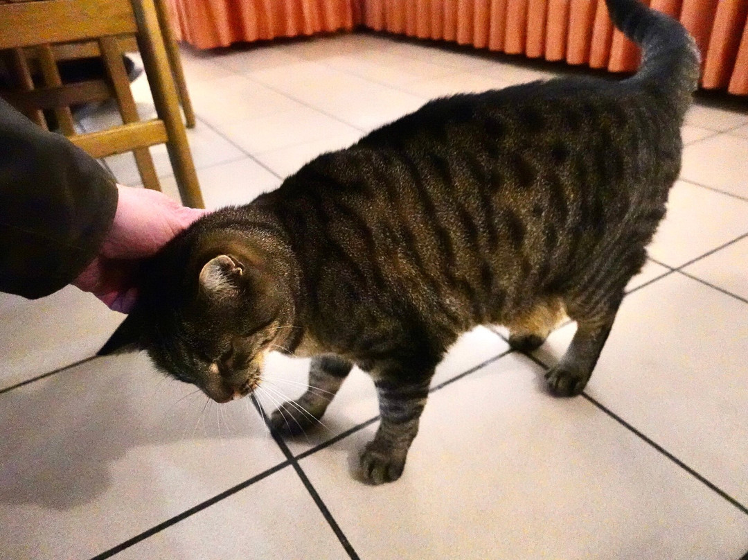 Hotel Gostisce Golob主图