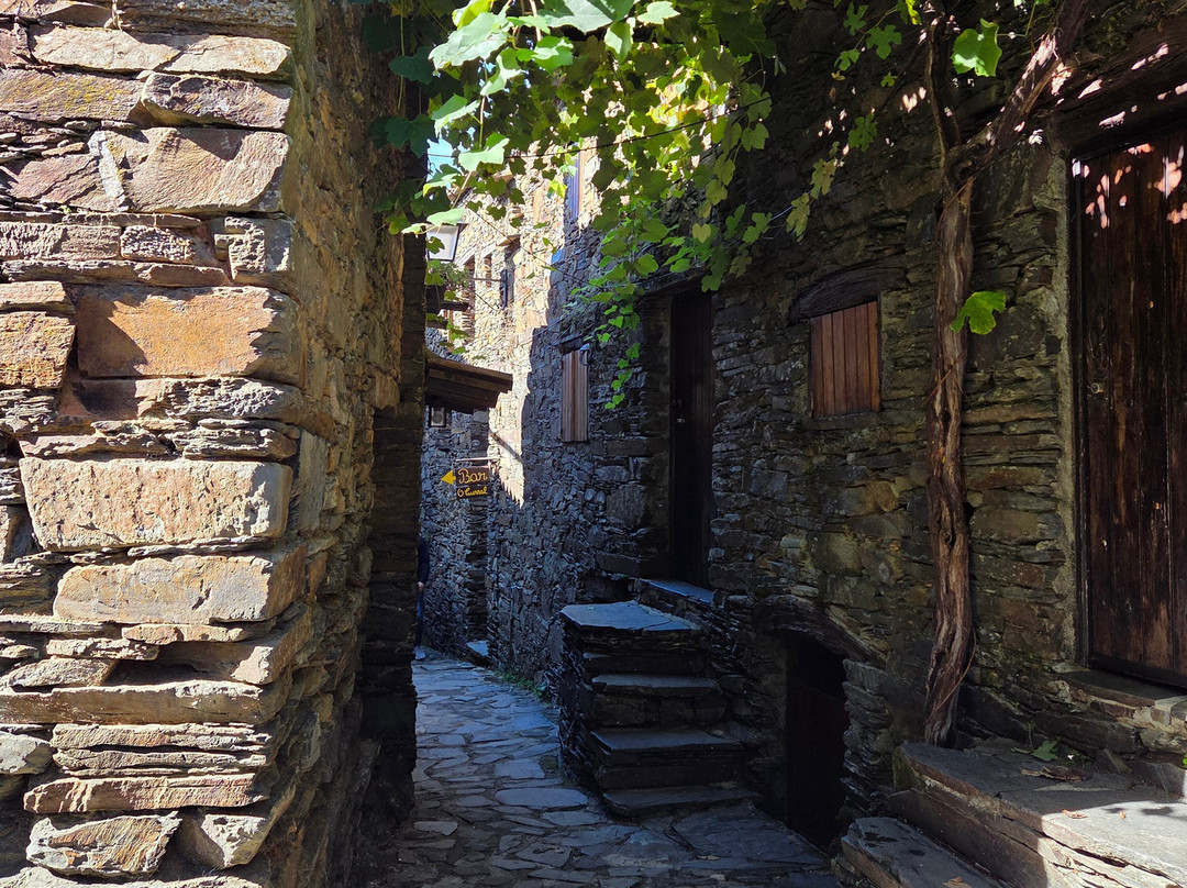 Viver Bem Portugal - Transfers e Tours Privados-波尔图必去景点