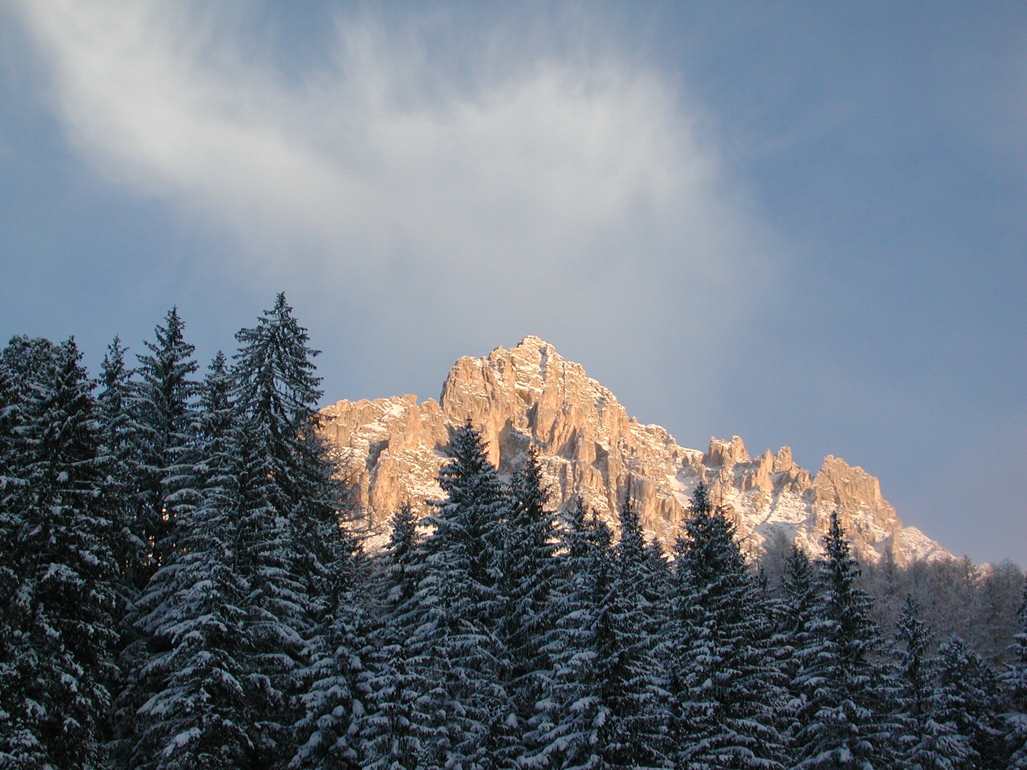 Hotel Peter-酒店景观