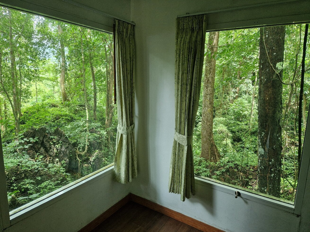 岩石树屋度假酒店主图