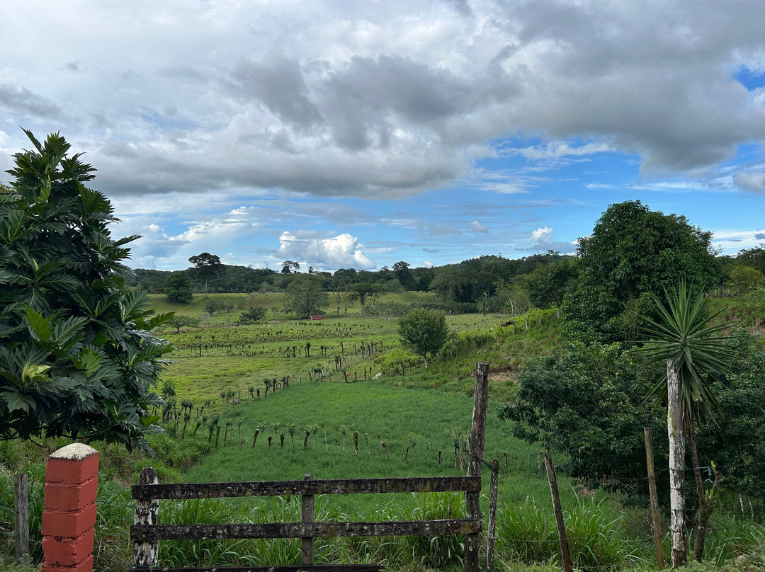 Amazing Vacations Costa Rica-图里亚尔瓦必去景点