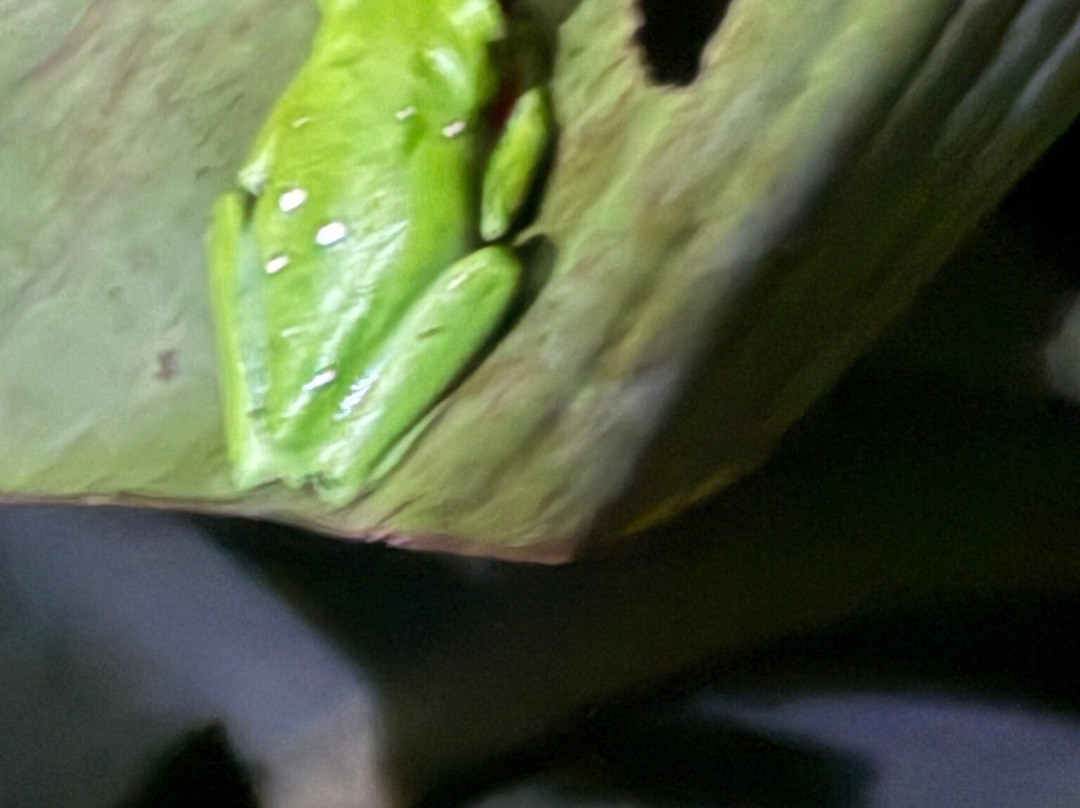 Manuel Tour Guide-卡维塔必去景点