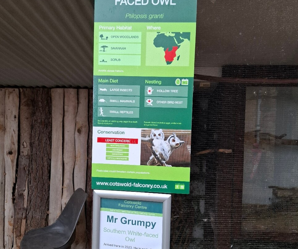 Cotswold Falconry Centre-莫顿因马什必去景点