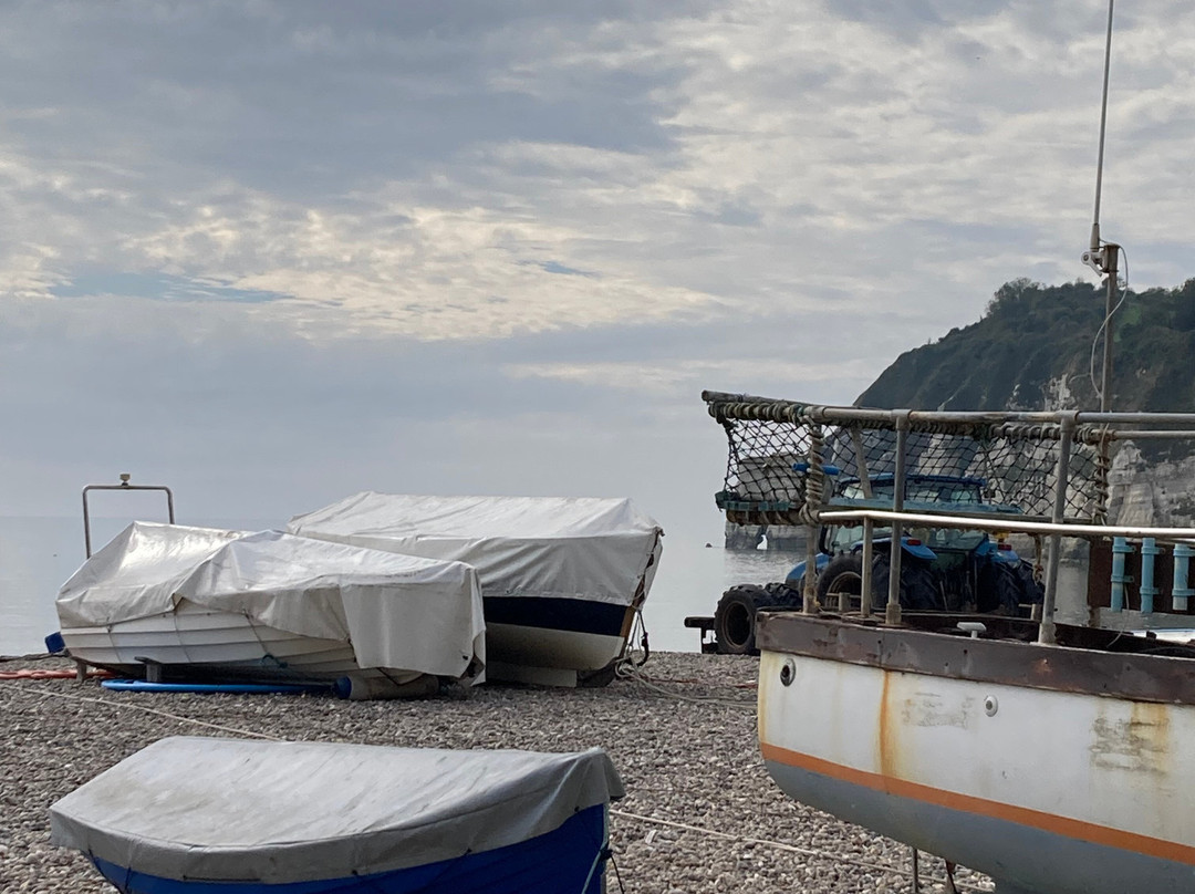 The Masons Arms, Branscombe-Branscombe必去景点