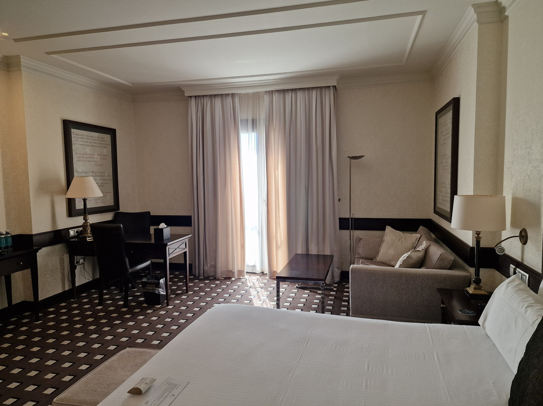 布埃纳维斯塔宫欧洲之星酒店主图