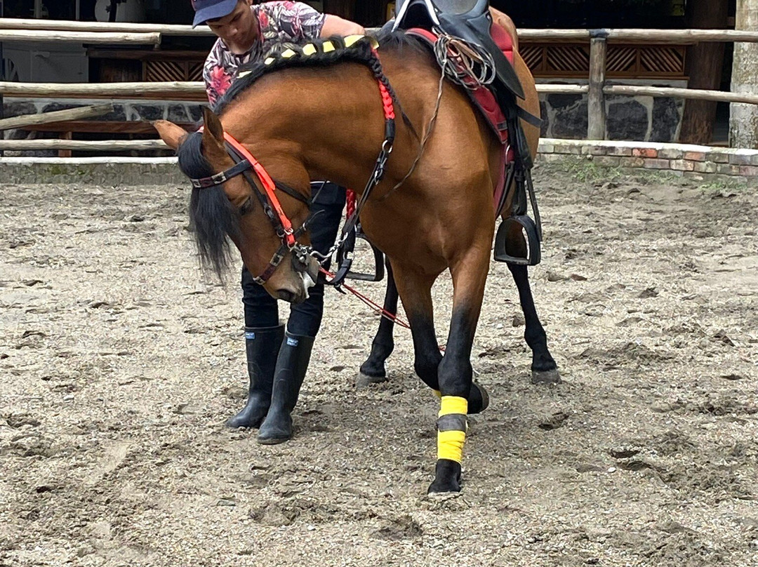 Rancho Ecoturistico El Faro主图