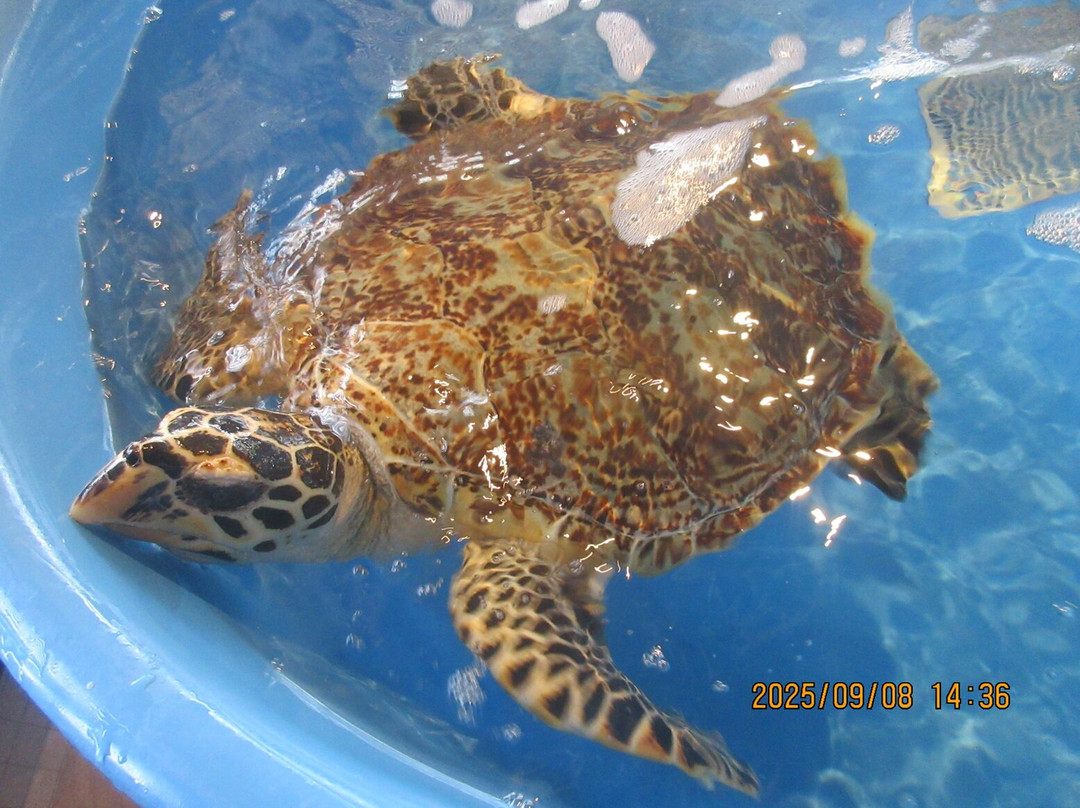 Eco Center Bora Bora-波拉波拉岛必去景点