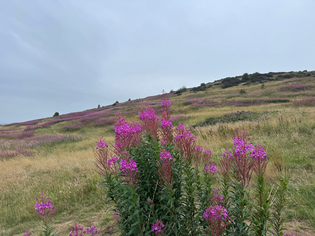 荷里鲁德公园-爱丁堡必去景点