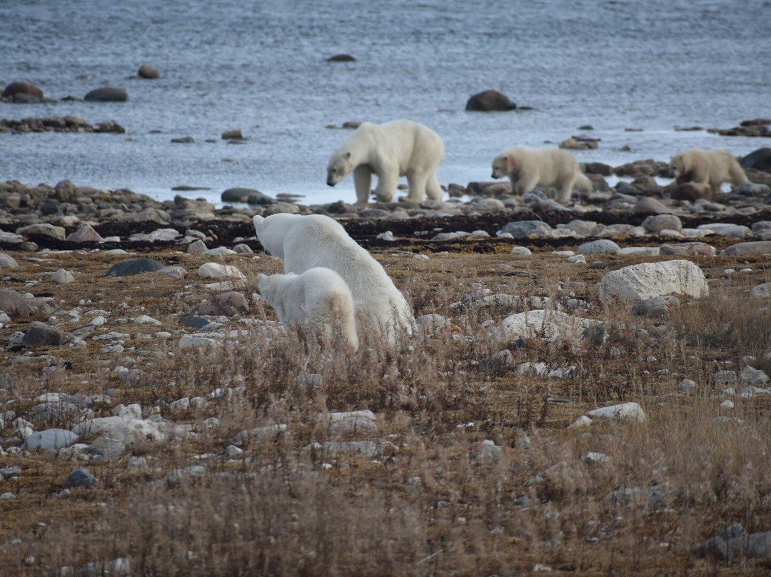 Heartland International Travel & Tours-温尼伯必去景点