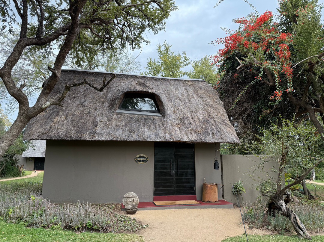 Sabi Sabi Selati Camp主图