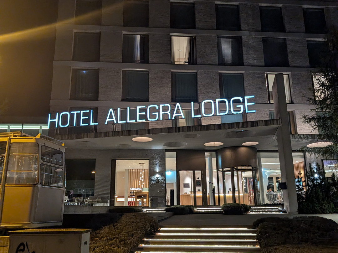 Hotel Allegra Lodge主图