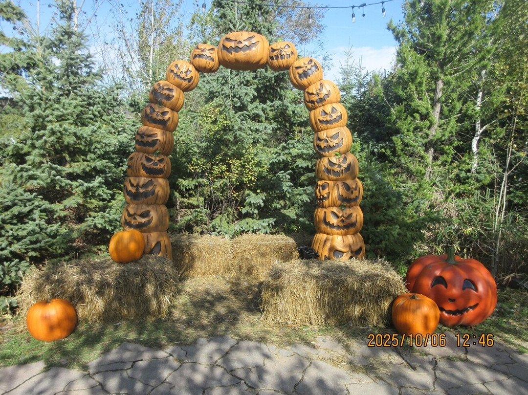Assiniboine Park Zoo-温尼伯必去景点