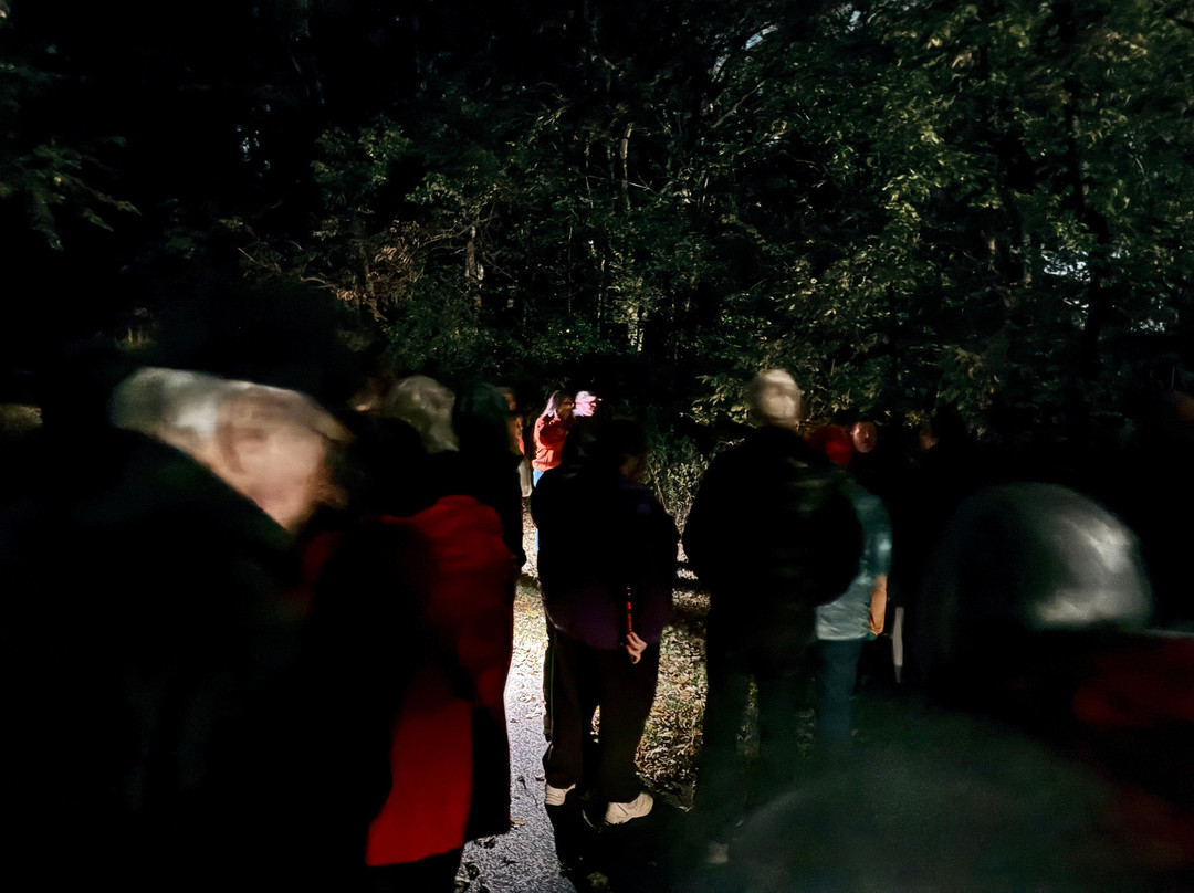 Haunted Decatur-迪凯特必去景点