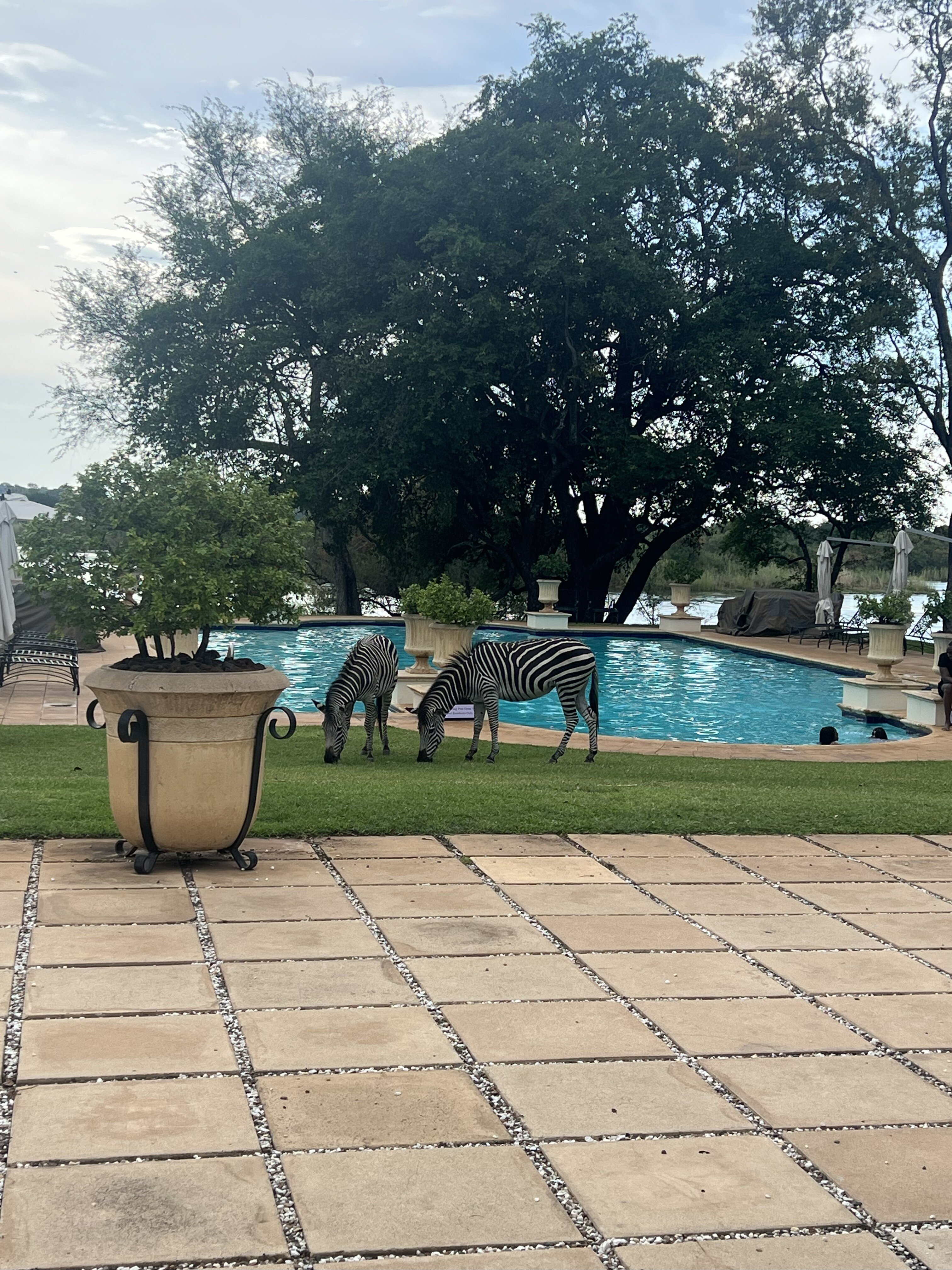 赞比亚维多利亚瀑布皇家利文斯顿安纳塔拉酒店-浴室