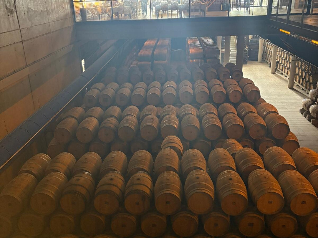 Bodegas Baigorri-Samaniego必去景点