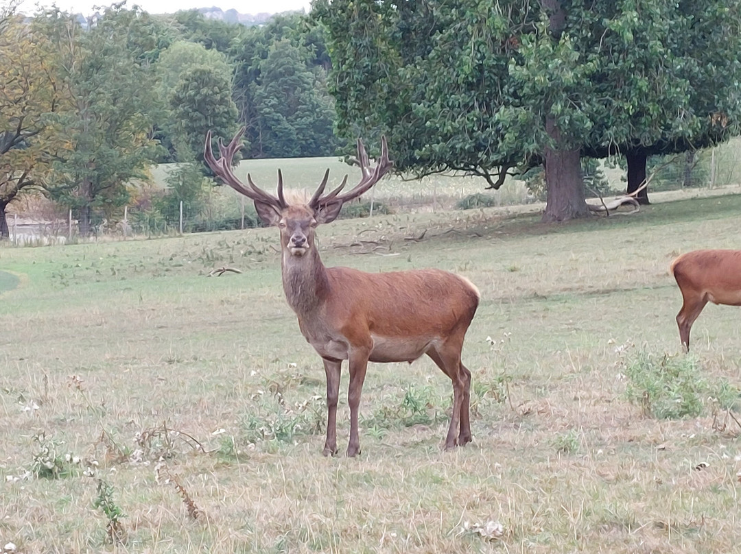 Wentworth Woodhouse-罗瑟勒姆必去景点