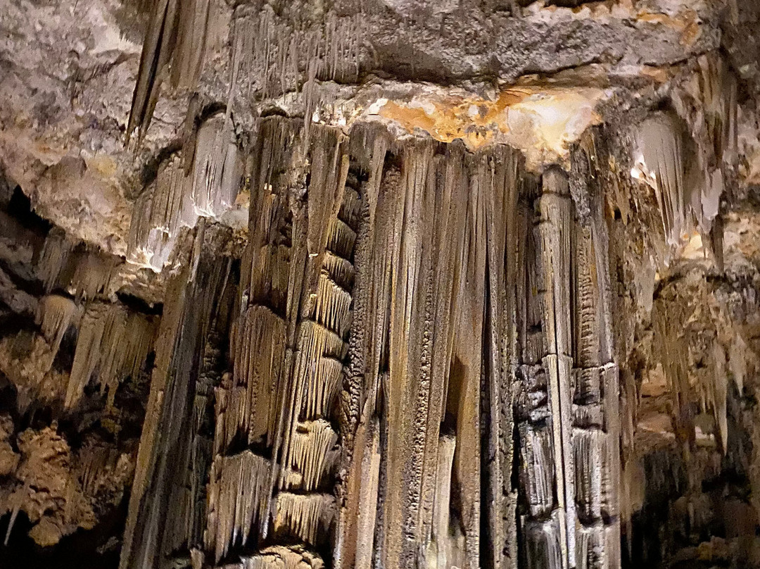 加利福尼亚酒店主图