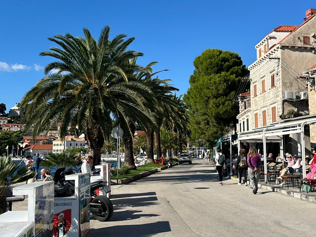 Cavtat Seaside Promenade-察夫塔特必去景点