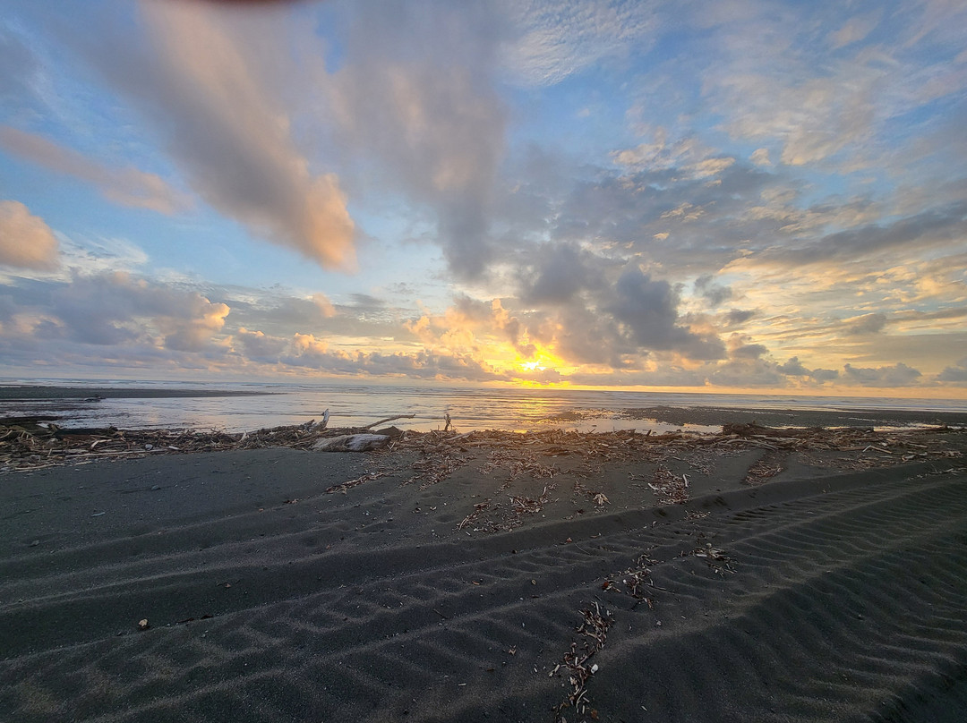 Surcos Tours-希门尼斯港必去景点