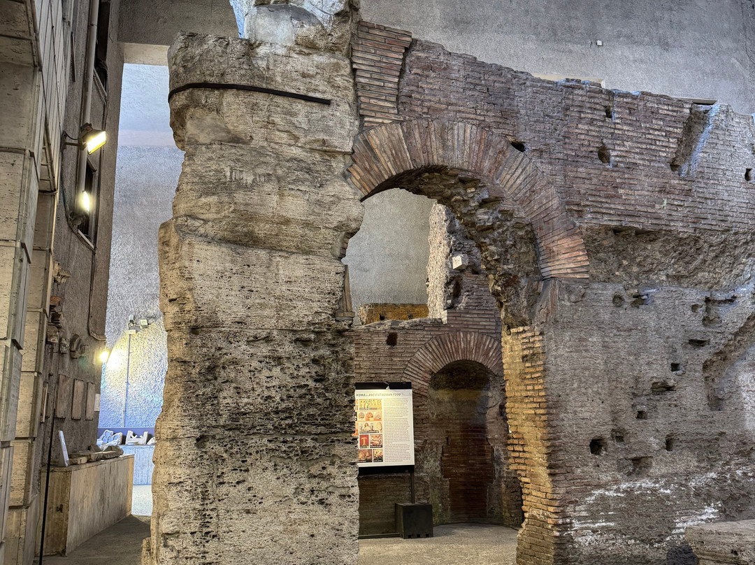 Marvels Of Rome - Guide Turistiche Abilitate.-罗马必去景点