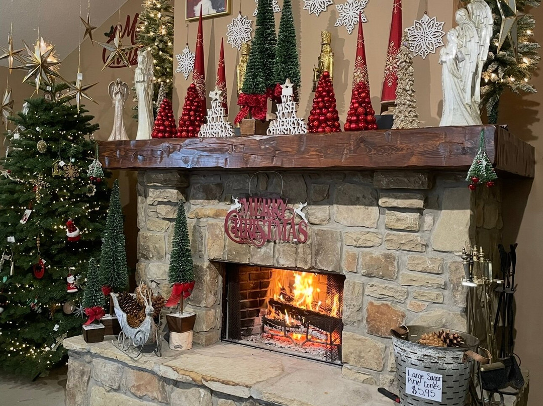 Owasso Christmas Tree And Berry Farm-奥瓦索必去景点