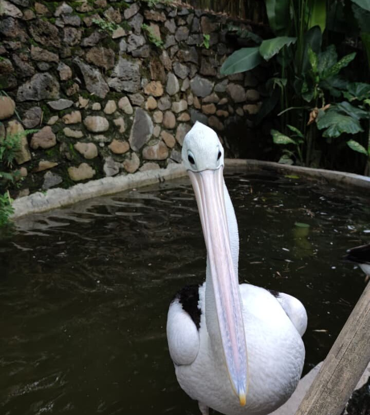 Lombok Wildlife Park-Tanjung必去景点