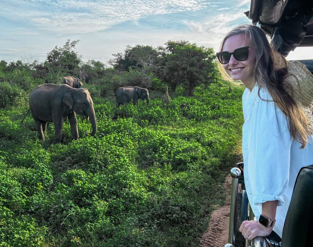 乌达瓦拉瓦酒店住宿-Wild Lake Side Holiday Resort