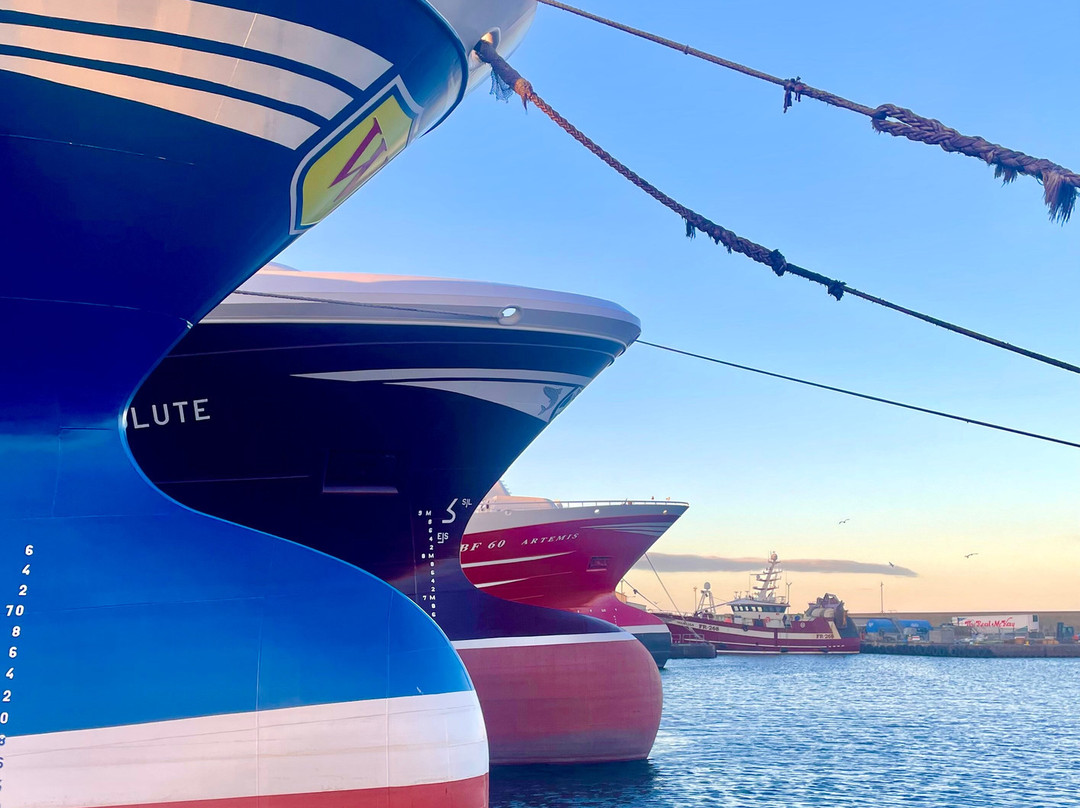 Fraserburgh Harbour-Fraserburgh必去景点