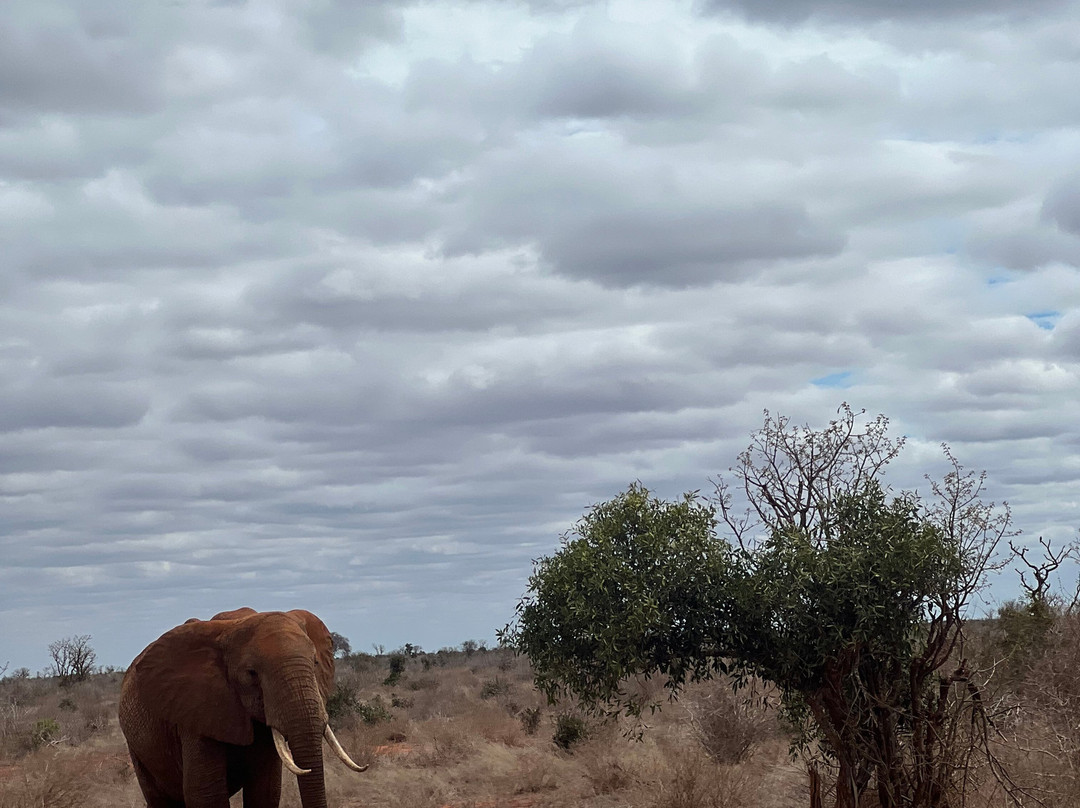 Around Holiday Adventure-查佛必去景点