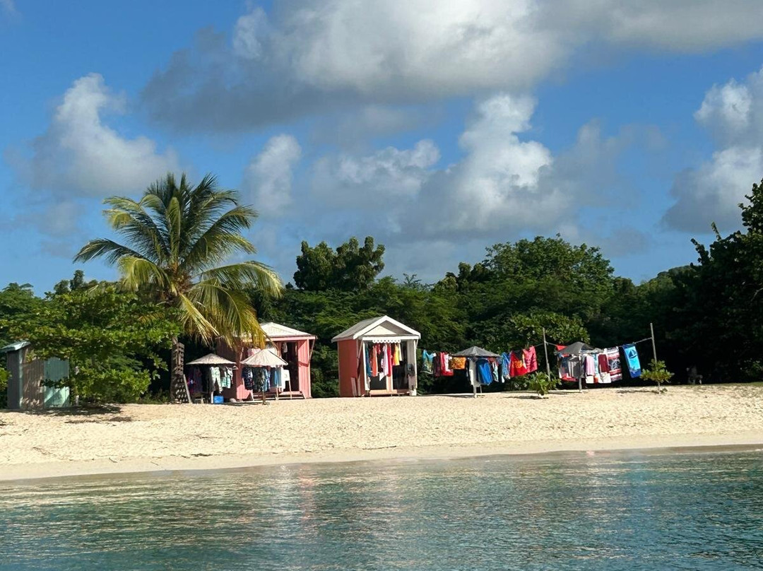 Wadadli Cats-安提瓜必去景点