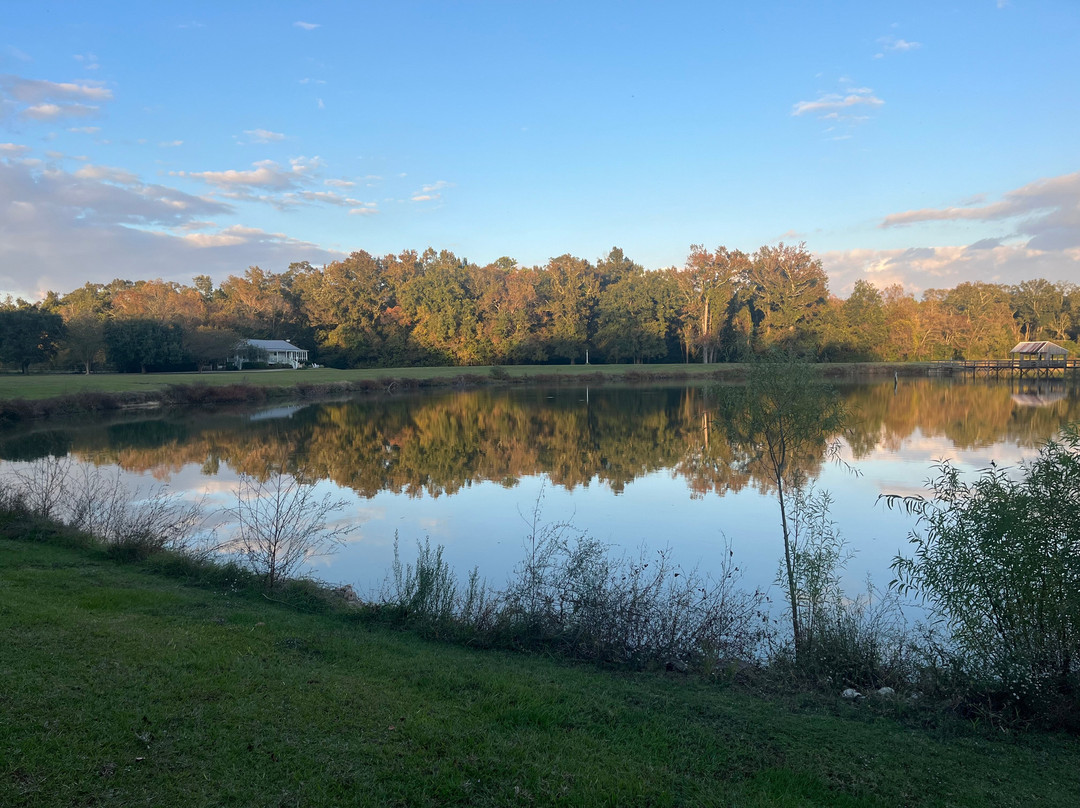 Maison D'Memoire Bed & Breakfast Cottages主图