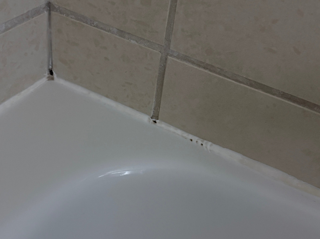 Cambria hotel & suites Minneapolis Maple Grove主图