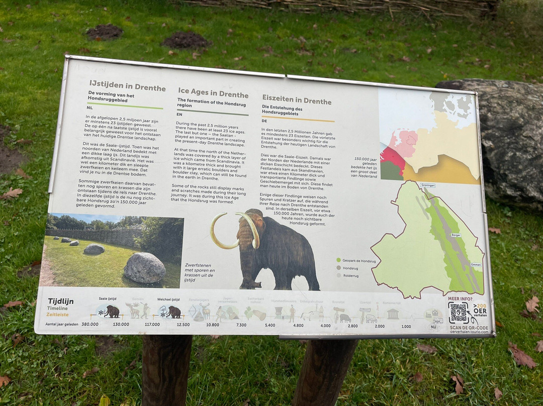 Hunebed Centre-Borger必去景点