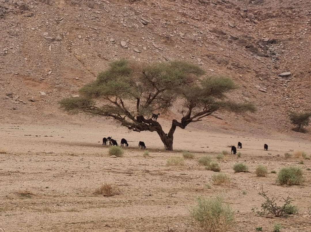 vano voyages-盖尔达耶必去景点