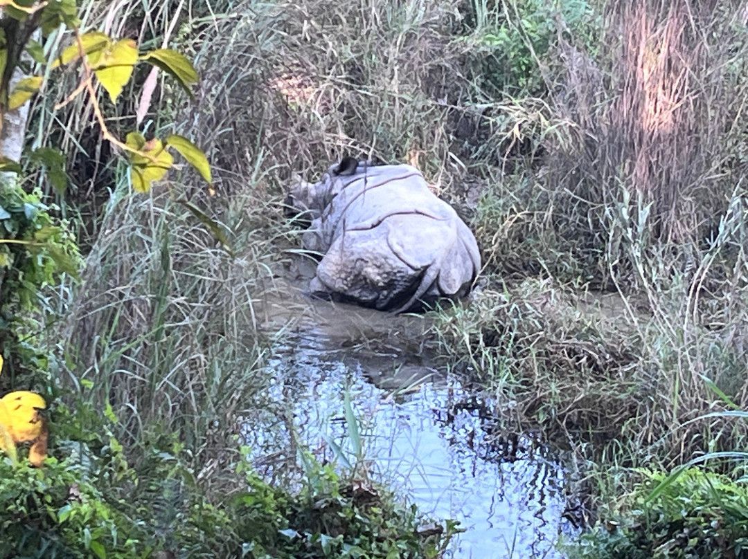 CAN Travels-博卡拉必去景点