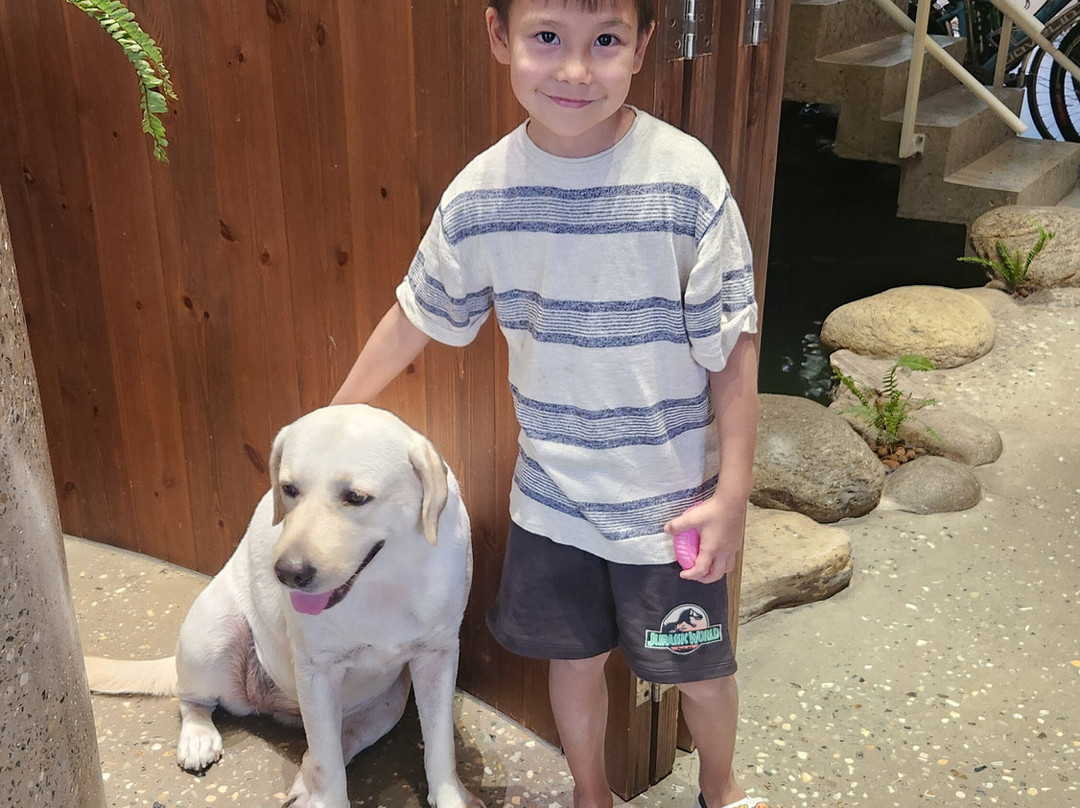 JM Boutique Hotel主图