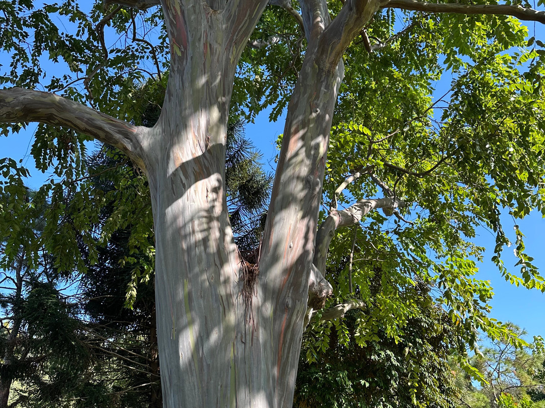 Deerfield Beach Arboretum-迪尔菲尔德比奇必去景点
