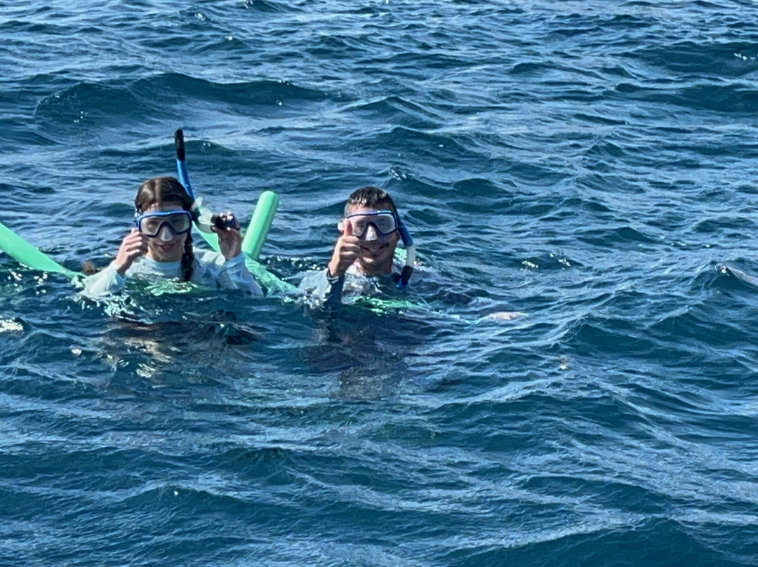 Private Snorkeling Aruba-棕榈/鹰海滩必去景点