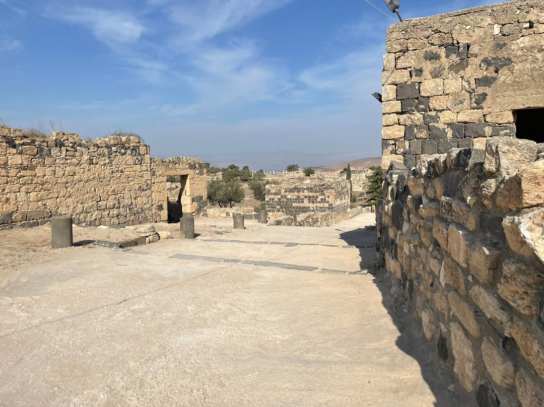 UMm Qays Archeological Site-Irbid必去景点