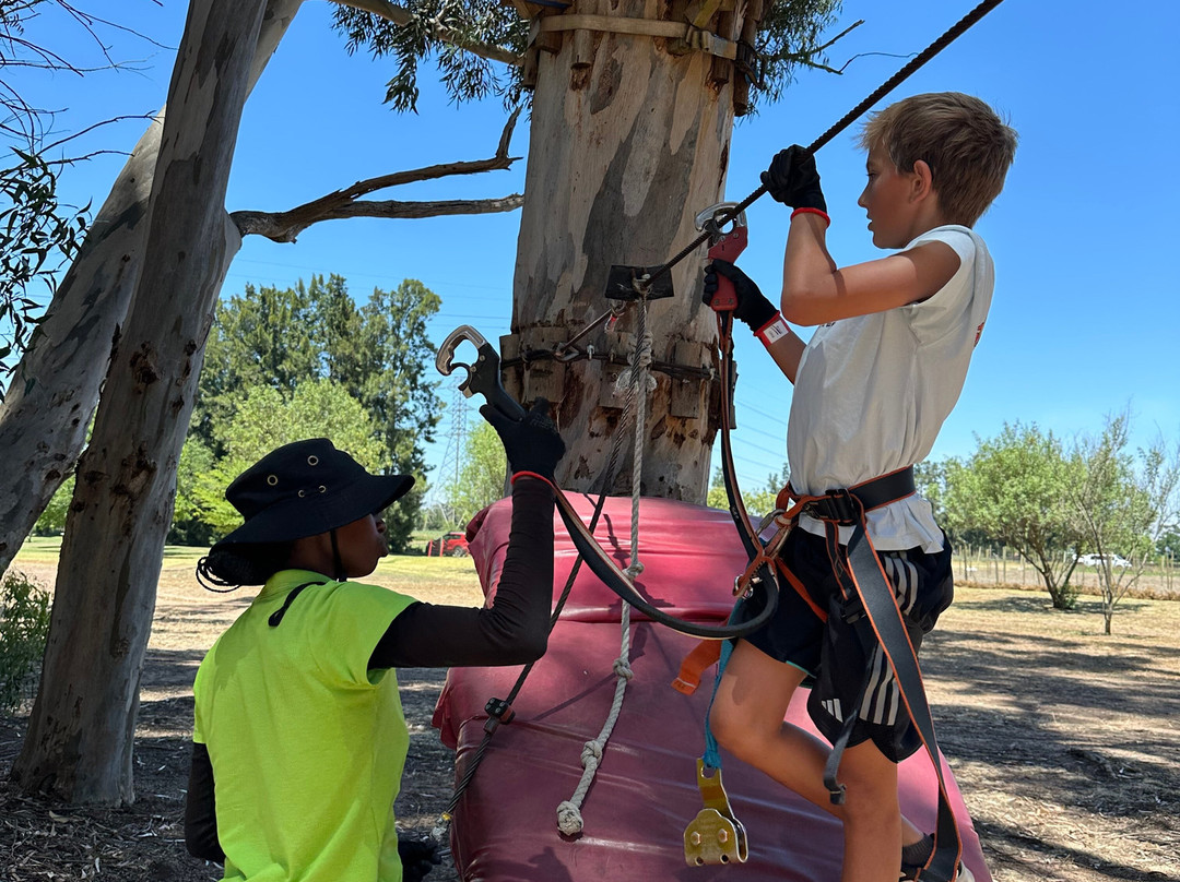 Acrobranch Stellenbosch-斯泰伦博斯必去景点