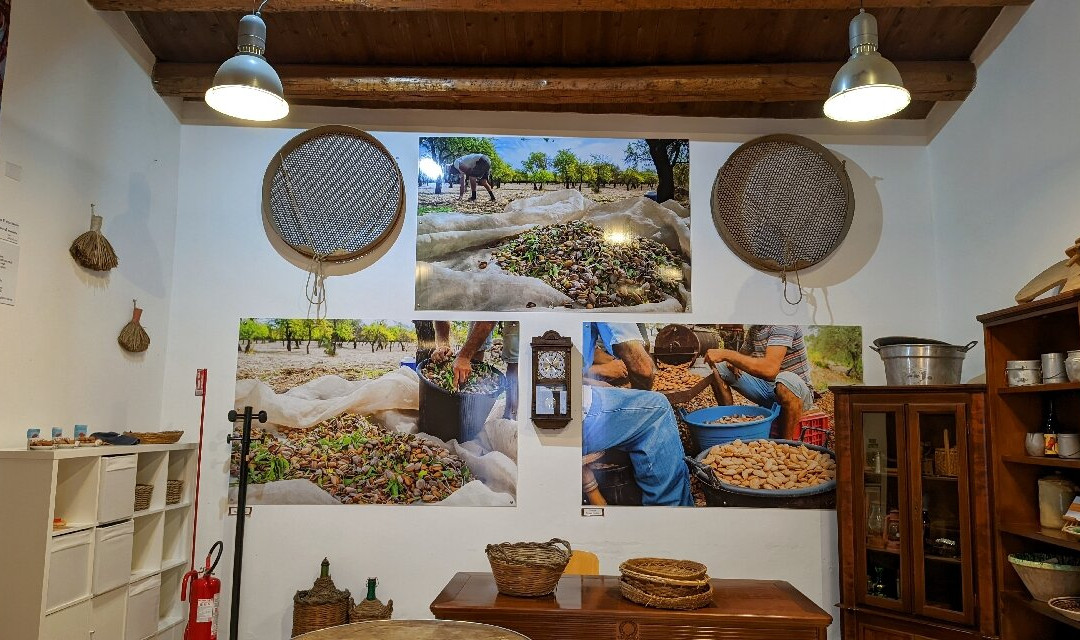 Museo della Mandorla di Avola-Avola必去景点
