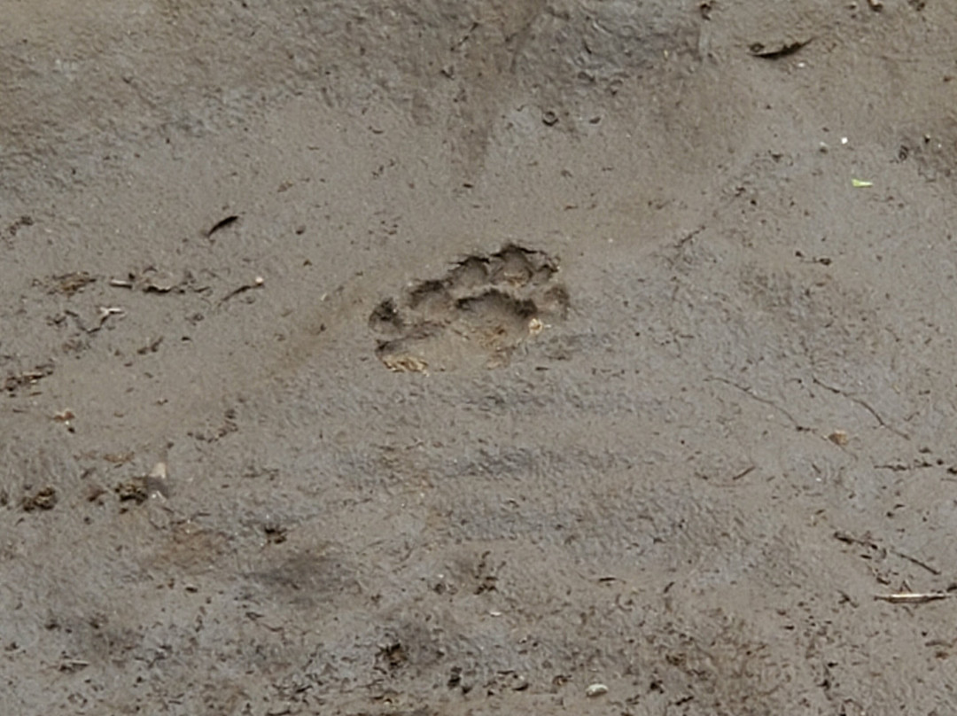 The Adventures Feet-布兰岱必去景点